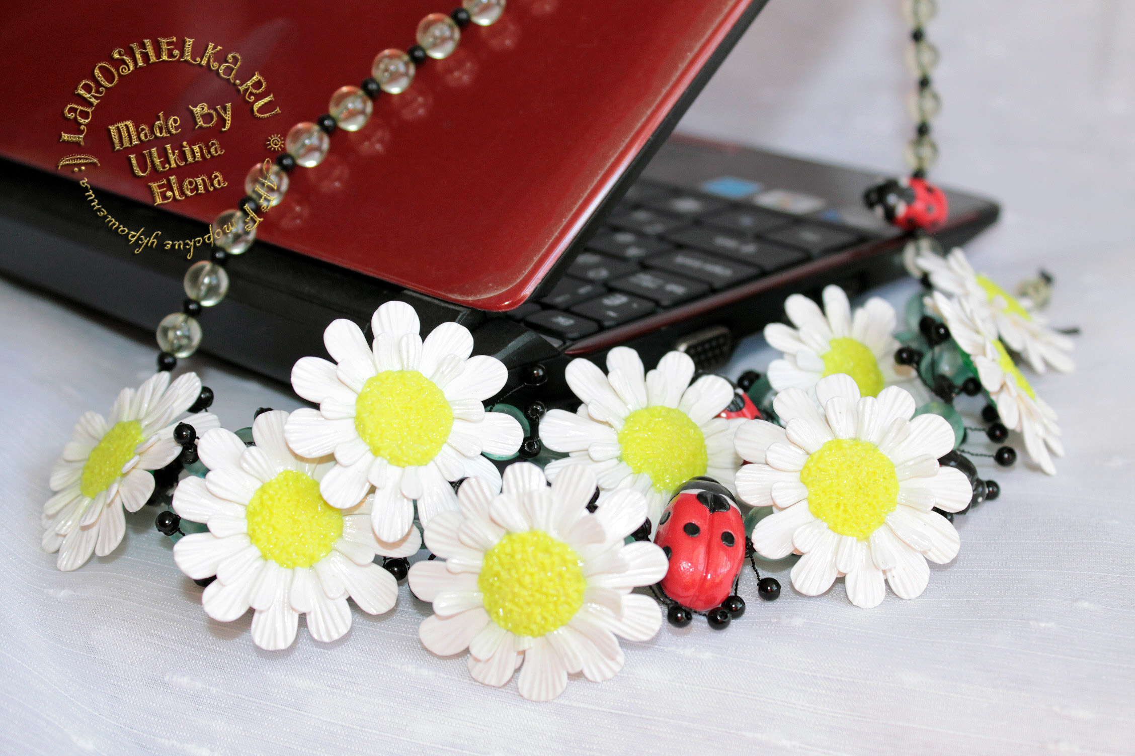 Ромашки-очаровашки :)